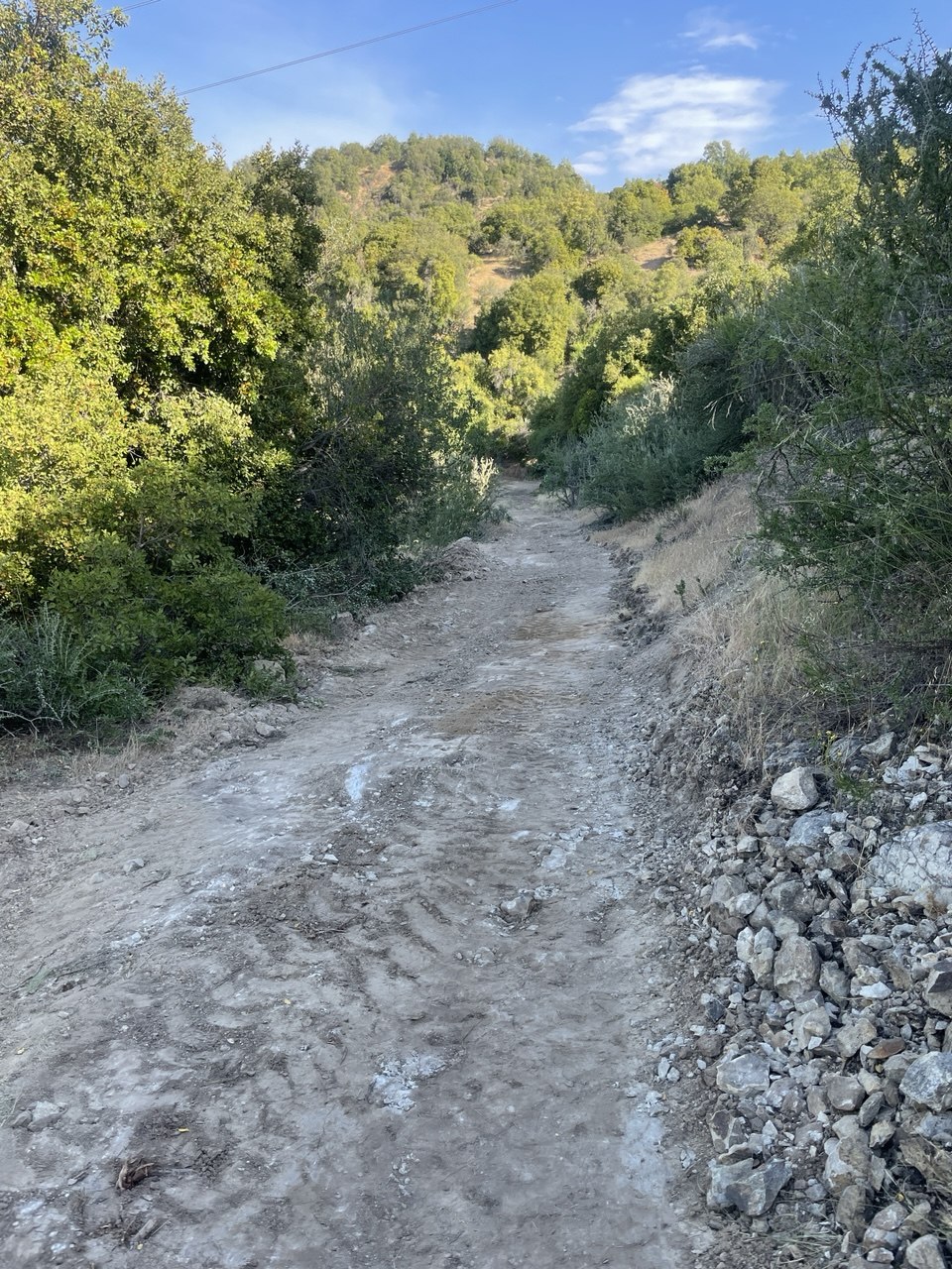 Mejoramiento de Caminos y Acceso a Torres Alta Tensión